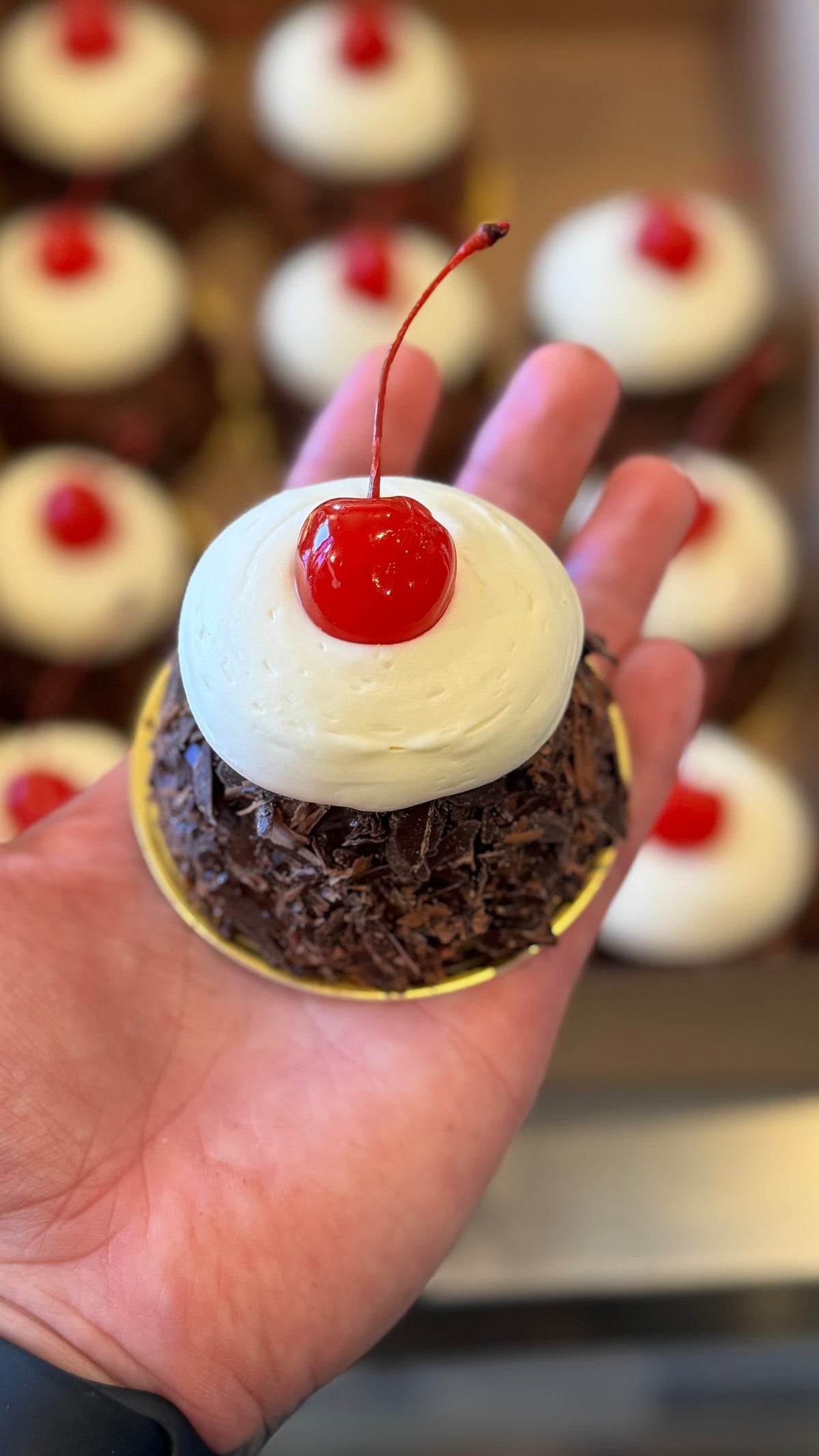 Black Forest Mini Cake
